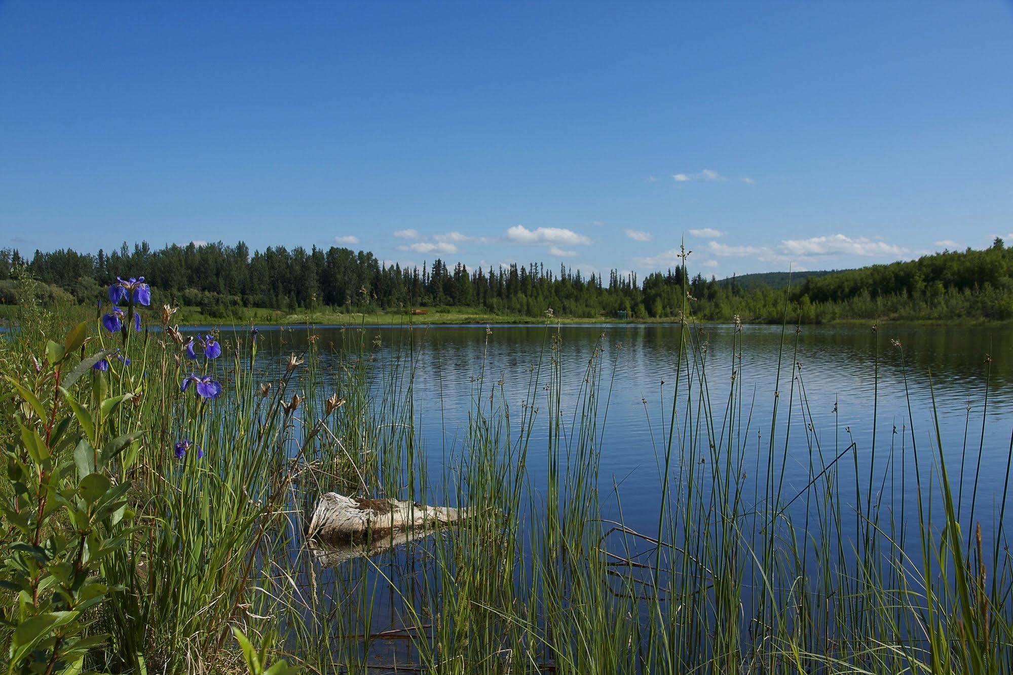 Wedgewood Resort Fairbanks Exteriér fotografie