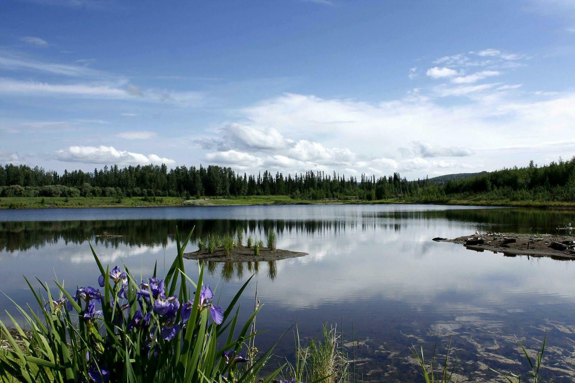 Wedgewood Resort Fairbanks Exteriér fotografie